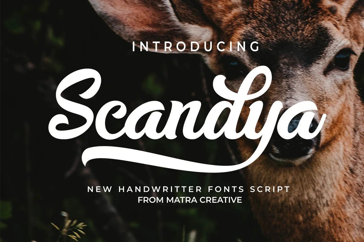 Best Font Pairings for Modern Web in 2026 12