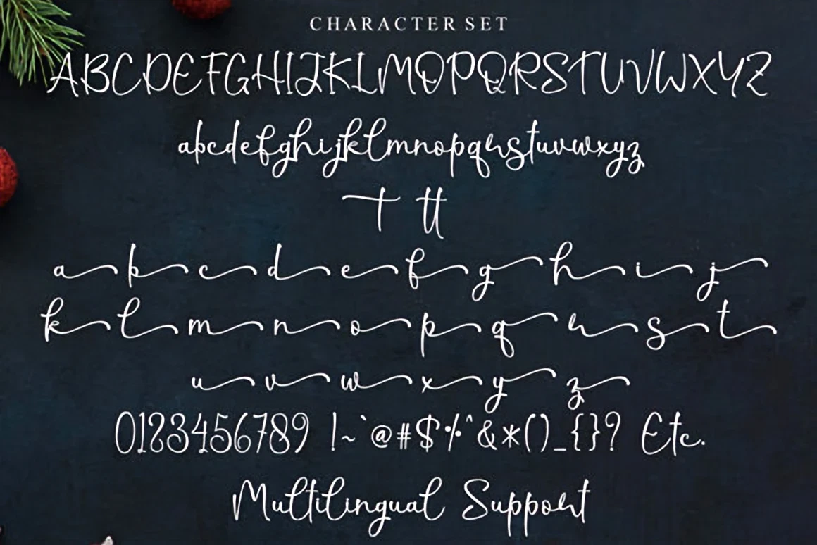 Christmas Shine Script Font – Elegant Holiday Calligraphy 3 ym9syt0du3