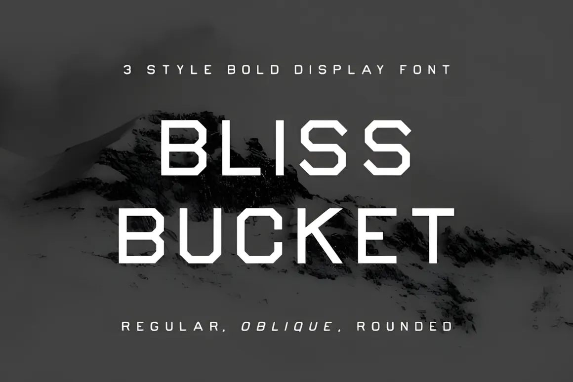 20 Best Display Sans Serif Font Styles for Designers 11 Bliss Bucket Font Family displayed in bold industrial style with three variations: Regular, Oblique, and Rounded.