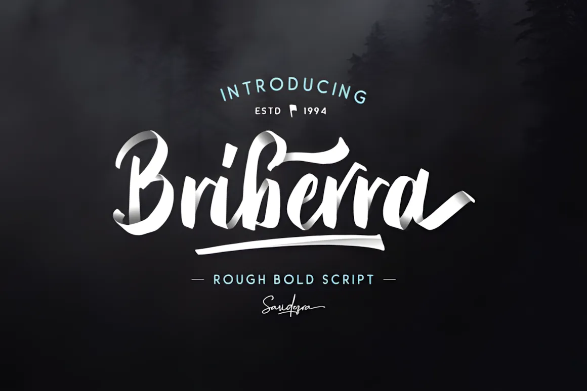15 Best Script Fonts for Formal and Casual Branding 6 Briberra font showcased in a bold script style against a dark background.