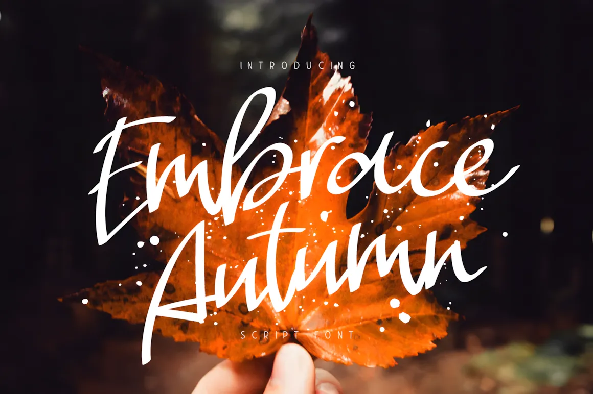 A Handwritten Script Typeface That Balances Elegance, Warmth, and Emotional Ease
