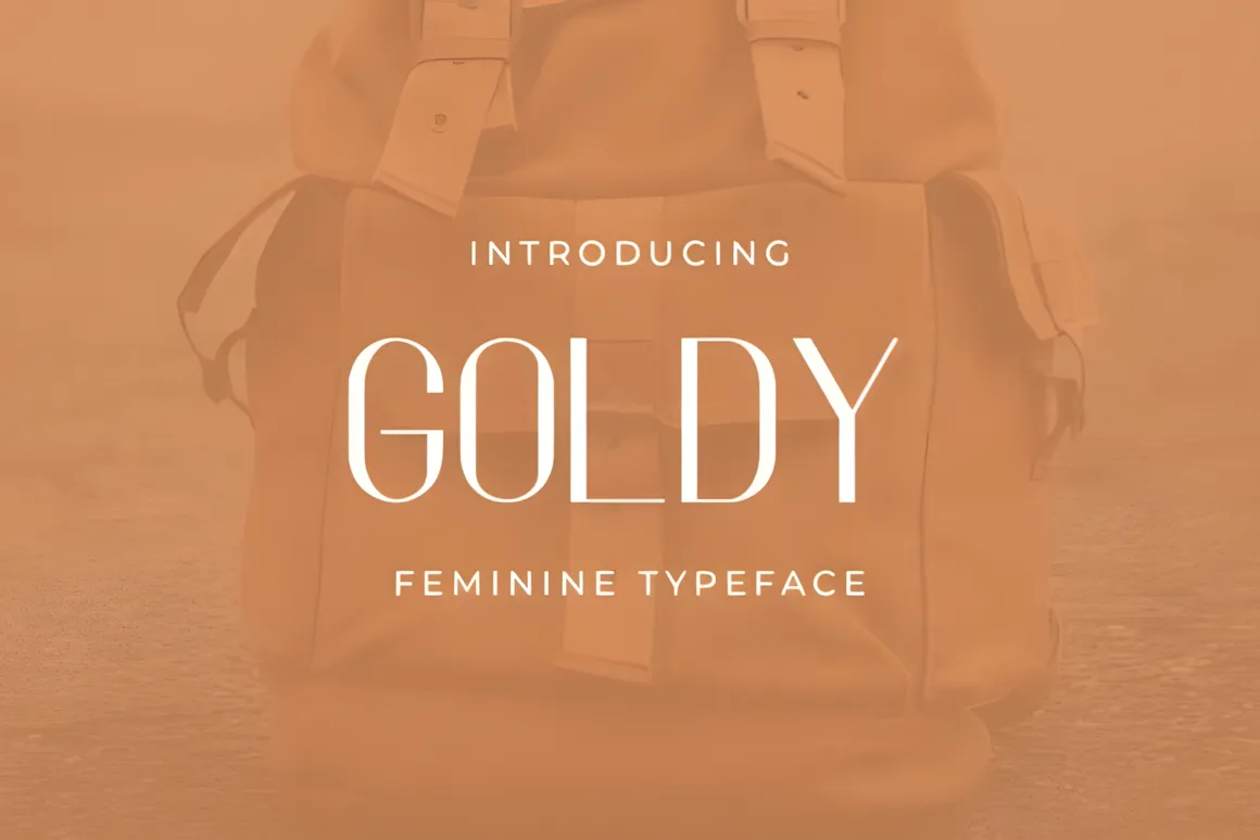 Best Sans Serif Fonts: 40 Modern Typefaces for Right Now 32 Goldy feminine typeface showcased on a stylish bag background.