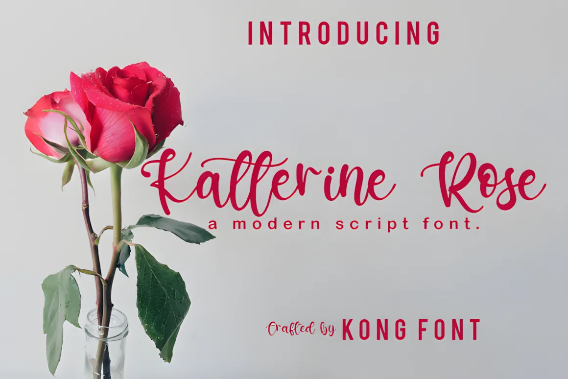 23 Best Valentine’s Day Script Fonts with Commercial License 9 Katterine Rose font displayed with a red rose in a vase, showcasing its modern script style.