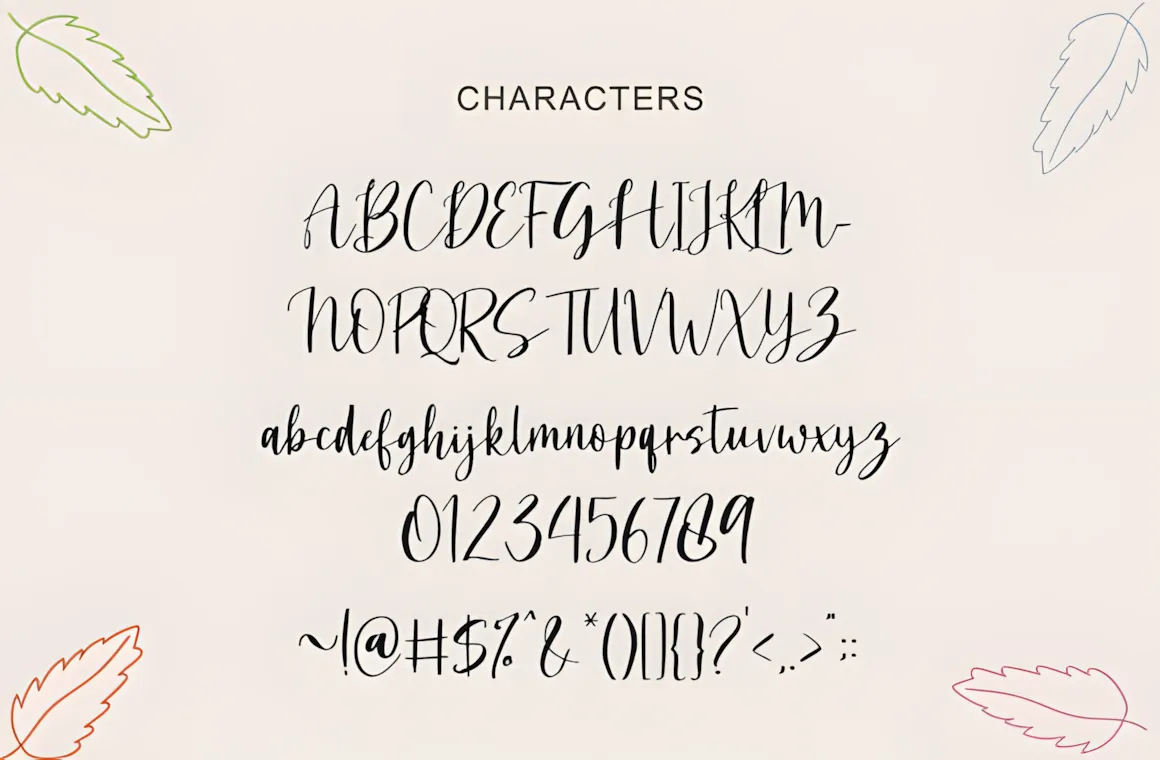 15 Best Script Fonts for Formal and Casual Branding 5 Character set showcasing a script font with uppercase and lowercase letters, numbers, and symbols.
