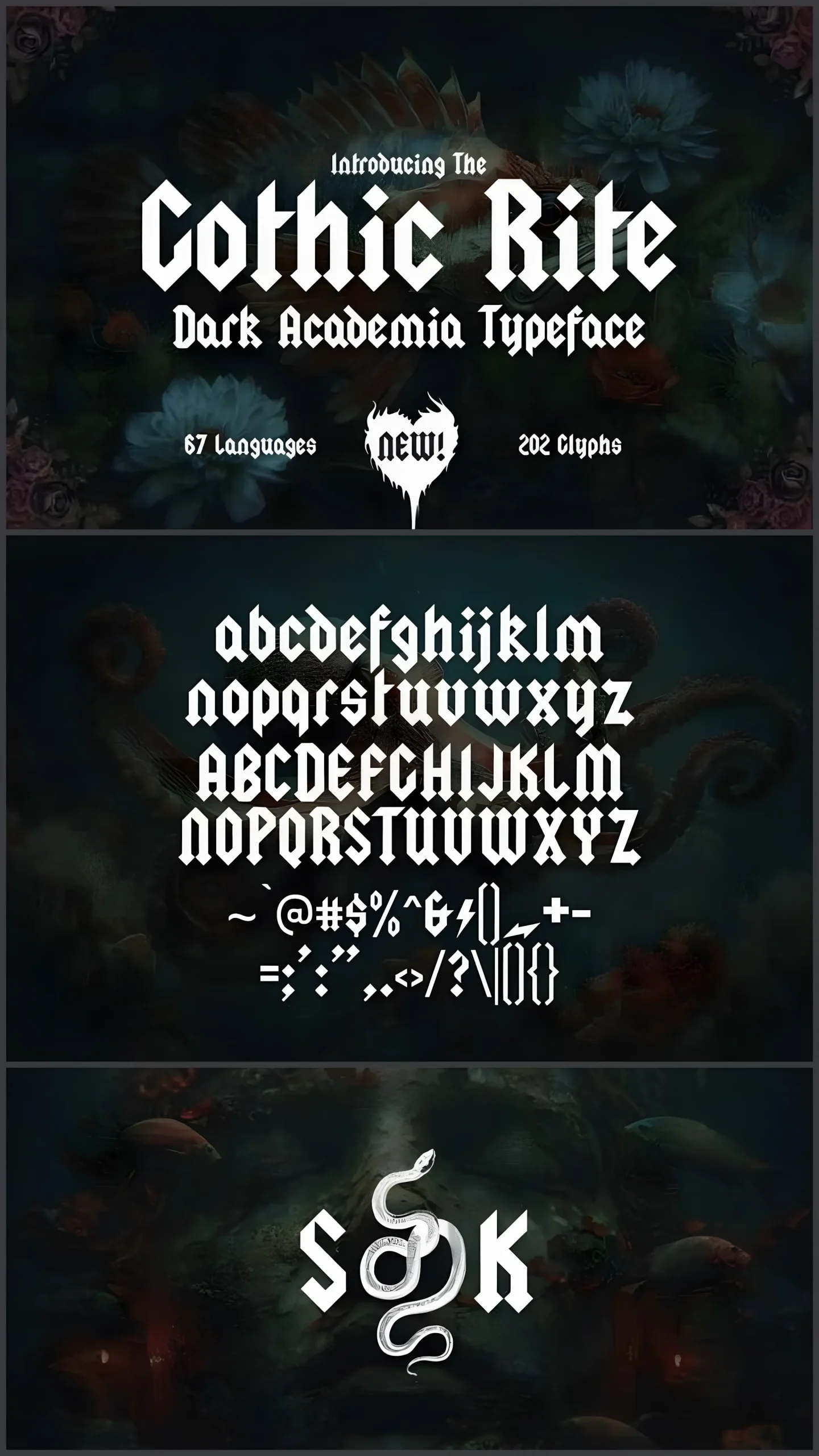 The Gothic Rite Font: Dark Blackletter With Academic Edge 2 The Gothic Rite Font blackletter display typeface alphabet