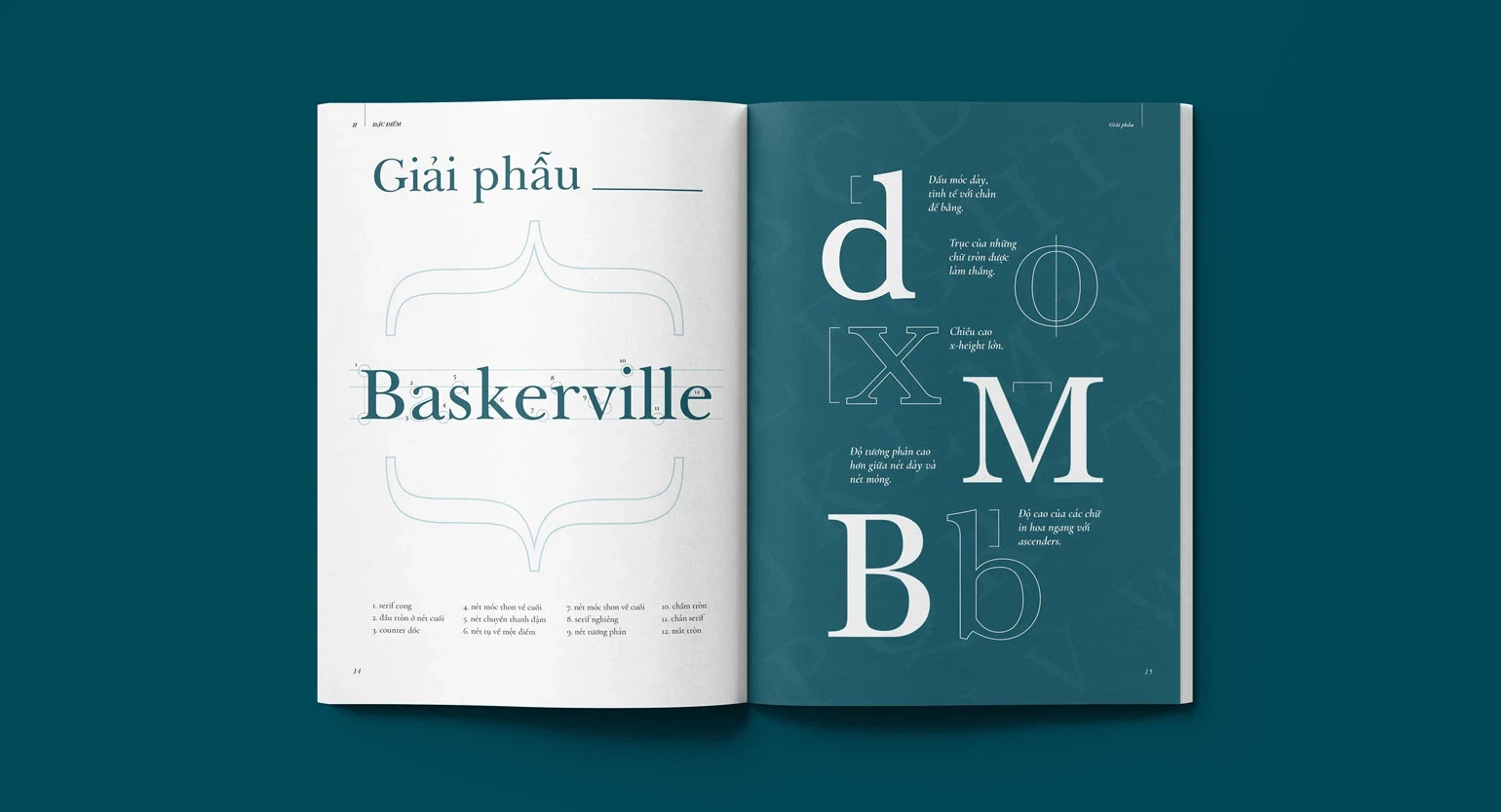 Best Fonts for Branding and Logo Design: 7 Expert Picks for 2026 12 lrv2utigru