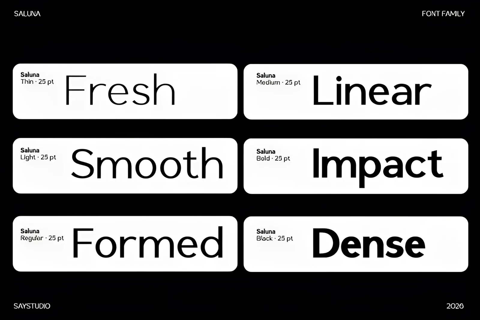 Saluna Font for Clean Professional Design Systems 4 Saluna font family characters and typography details