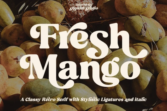 Modern Serif Fonts for Branding: Best Elegant Fonts for Creators 7 3z4ff8zame