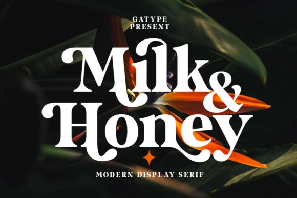Modern Serif Fonts for Branding: Best Elegant Fonts for Creators 4 do4ob4848g