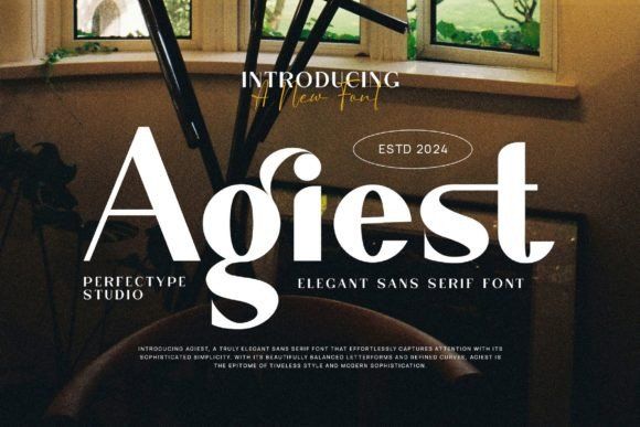 18 Best Sans Serif Fonts for Luxury Product Labels 7 Agiest Fonts 89617705 1 1 580x387 1