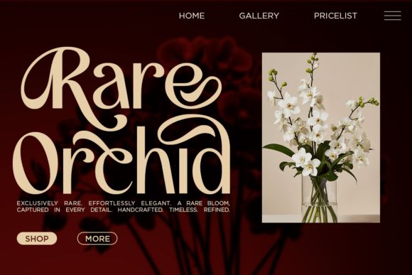 18 Best Sans Serif Fonts for Luxury Product Labels 15 Andores Fonts 143047911 4 580x387 1