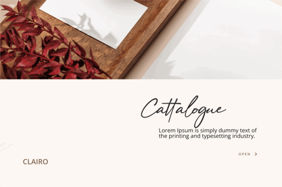 12 Luxury Script Fonts for Cosmetic Packaging 27 Florida Island Fonts 124479676 4 580x386 1