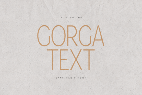 15 Best Sans Serif Fonts for Modern Websites in 2026 18 Gorga Text Fonts 143065195 1 1 580x387 1