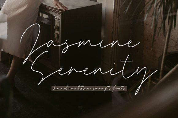 17 Premium Fonts for Elegant Packaging Design 33 Premium Typography for Elegant Packaging Design