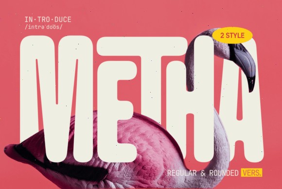 18 Rounded Sans Serif Fonts for Modern Branding 10 Metha Fonts 138061894 1 1 580x388 1