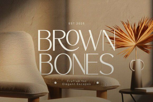 13 Packaging Sans Serif Fonts That Look Premium 31 Nerova Fonts 147101029 4 580x387 1