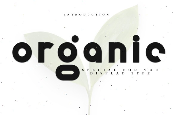 18 Rounded Sans Serif Fonts for Modern Branding 39 Organic Fonts 141343627 1 1 580x387 1