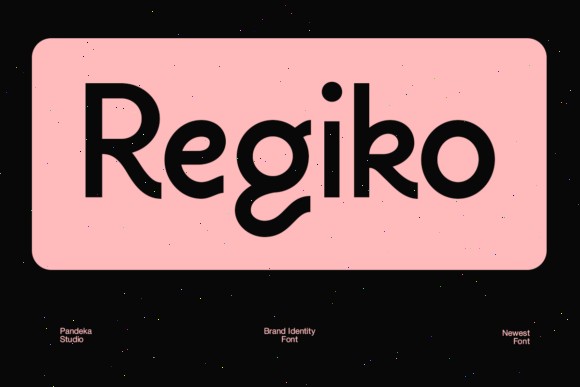 18 Rounded Sans Serif Fonts for Modern Branding 12 Regiko Fonts 135138758 1 1 580x387 1