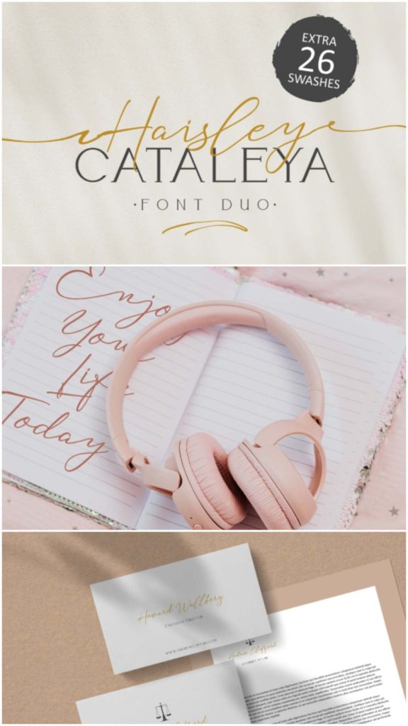 18 Elegant Script Fonts for Luxury Packaging 21 Upgrade your branding with these elegant script fonts for luxury packaging. Perfect for premium beauty, fashion, perfume, and boutique product designs.