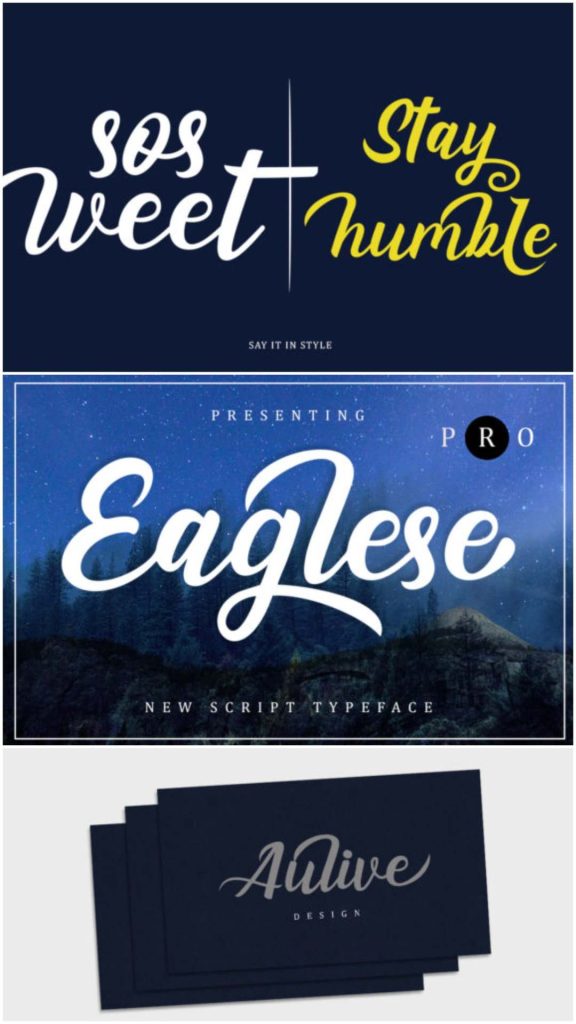 18 Elegant Script Fonts for Luxury Packaging 23 Upgrade your branding with these elegant script fonts for luxury packaging. Perfect for premium beauty, fashion, perfume, and boutique product designs.
