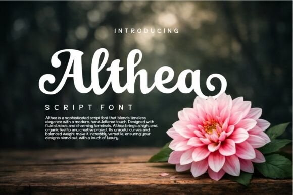 15 Elegant Signature Fonts for Logos That Instantly Elevate Brands 34 Althea Fonts 147288975 1 1 580x387 1
