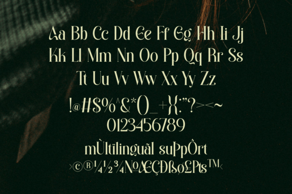 25 Modern Serif Fonts for Luxury Branding That Instantly Elevate Logos 28 Emerale Fonts 143699604 5 580x387 1