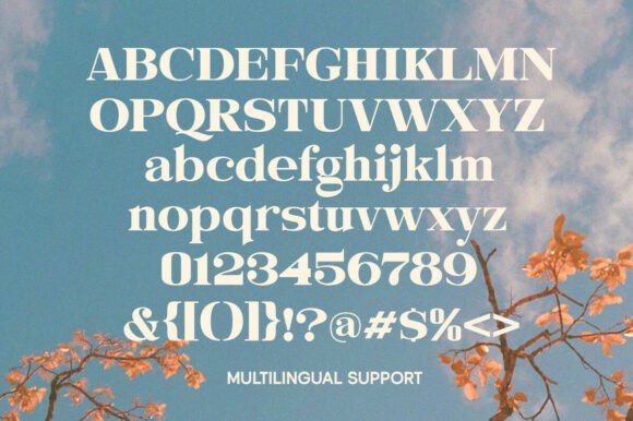 25 Modern Serif Fonts for Luxury Branding That Instantly Elevate Logos 7 Evorine Serif Fonts 148849428 5 580x386 1