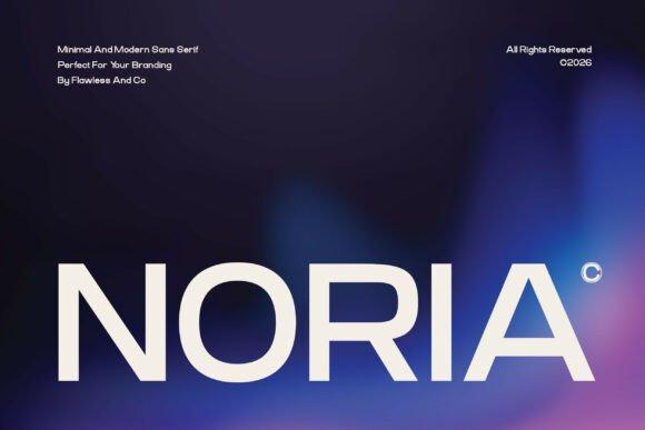 12 Professional Fonts For Business Documents And Presentations 8 Noria Fonts 145705557 1 1 580x387 1