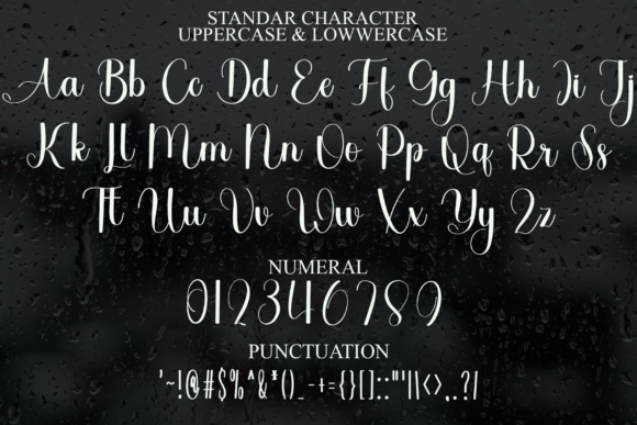 15 Elegant Signature Fonts for Logos That Instantly Elevate Brands 43 Ontime Fonts 144621129 6 580x387 1