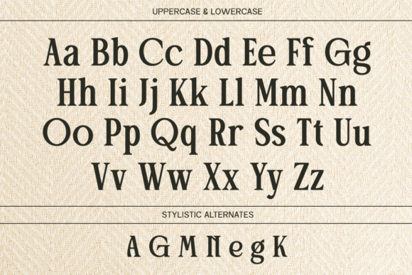 25 Modern Serif Fonts for Luxury Branding That Instantly Elevate Logos 88 Patcher Fonts 144473243 8 580x387 1