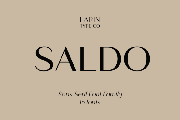 12 Professional Fonts For Business Documents And Presentations 4 Saldo Fonts 68884865 580x387 1