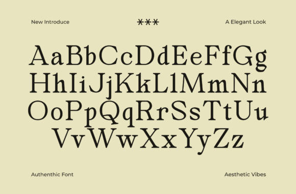25 Modern Serif Fonts for Luxury Branding That Instantly Elevate Logos 12 Secth Vought Fonts 151366560 6 580x380 1