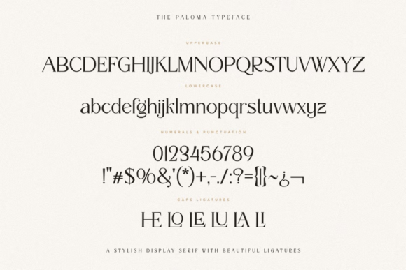 25 Modern Serif Fonts for Luxury Branding That Instantly Elevate Logos 31 The Paloma Fonts 146730600 10 580x387 1