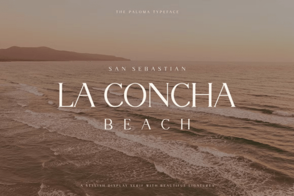 25 Modern Serif Fonts for Luxury Branding That Instantly Elevate Logos 30 The Paloma Fonts 146730600 5 580x387 1