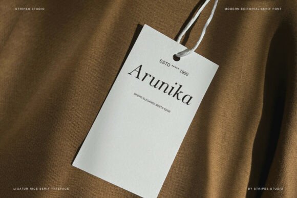 25 Modern Serif Fonts for Luxury Branding That Instantly Elevate Logos 42 The Stripes Editorial Fonts 151223153 10 580x387 1