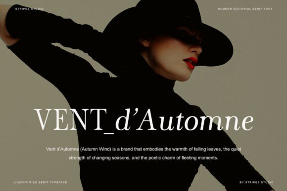 25 Modern Serif Fonts for Luxury Branding That Instantly Elevate Logos 40 The Stripes Editorial Fonts 151223153 2 580x387 1