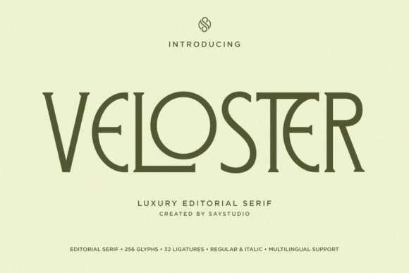 25 Modern Serif Fonts for Luxury Branding That Instantly Elevate Logos 72 Veloster Fonts 151140763 1 1 580x387 1