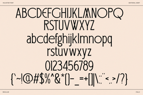 25 Modern Serif Fonts for Luxury Branding That Instantly Elevate Logos 76 Veloster Fonts 151140763 10 580x387 1