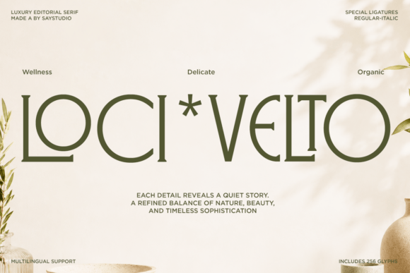 25 Modern Serif Fonts for Luxury Branding That Instantly Elevate Logos 75 Veloster Fonts 151140763 7 580x387 1