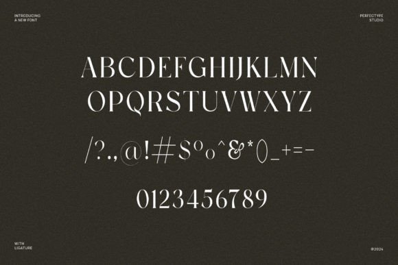 25 Modern Serif Fonts for Luxury Branding That Instantly Elevate Logos 9 Vogue Fonts 92494190 6 580x387 1