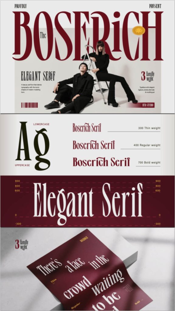 19 Premium Fonts for Logo Clothing Brand Luxury Fashion 2 fonts for logo clothing brand luxury fashion