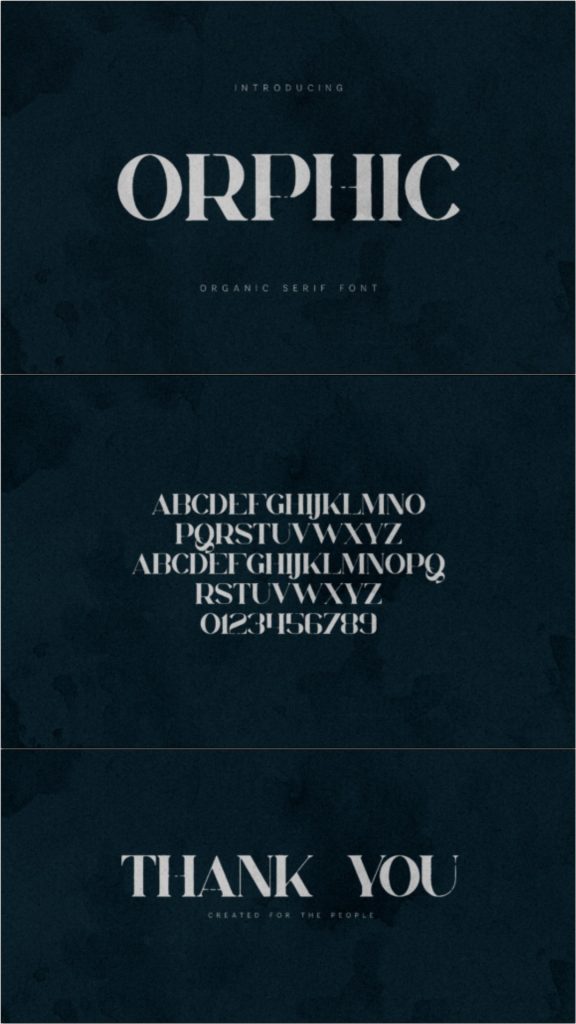 19 Premium Fonts for Logo Clothing Brand Luxury Fashion 9 fonts for logo clothing brand luxury fashion