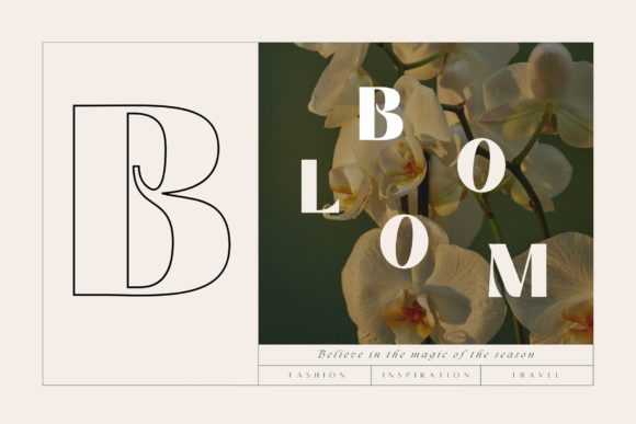 Premium Fonts: 20 Powerful Choices Designers Will Love 66 Aborm Fonts 29791043 9 580x387 1