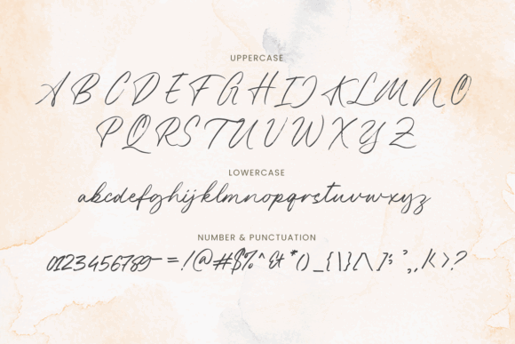 40 Best Brush Script Fonts for Elegant Wedding Invitations 51 Alesandra Fonts 69784828 7 580x387 1