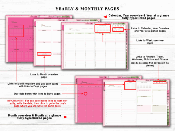 13 Best Digital Planner Bundles for Effortless Daily Planning 11 All in One Undated Digital Planner Graphics 44065546 3 580x435 1