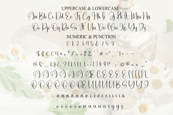 Modern Script Fonts: 18 Gorgeous Picks for Branding 12 Aromantic Fonts 150072625 7 580x387 1