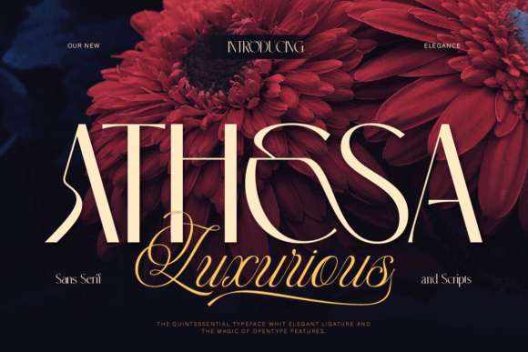 33 Best Feminine Script Fonts for Elegant Branding & Wedding Design 56 Athesa Luxurious Fonts 120625229 1 1 580x387 1