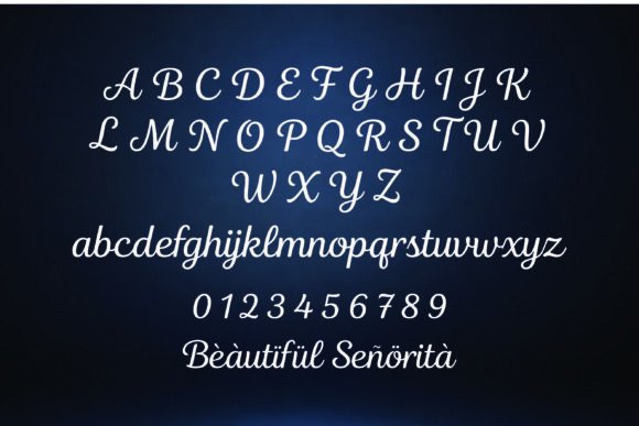 16 Soft Aesthetic Fonts: Beautiful Picks for Feminine Designs 15 Aureline Fonts 148783484 5 580x387 1