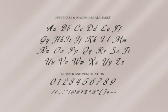 Modern Script Fonts: 18 Gorgeous Picks for Branding 29 Berlina Fonts 125155074 8 580x387 1