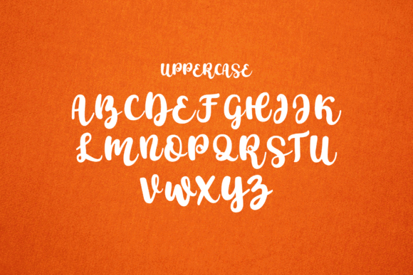 Script Fonts for Logo Design: 36 Elegant Picks That Feel Premium 24 Bestary Fonts 34855723 8 580x387 1